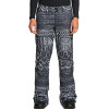 DC Recruit - Women's Snow Pants - Black Mud/Cloth print