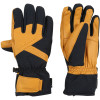 ZIENER GETTER AS Blue Navy multi Men's ski gloves