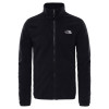 THE NORTH FACE Men's Evolve II Triclimate® Jacket - TNF Black