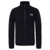 THE NORTH FACE Men's Evolve II Triclimate® Jacket - TNF Black
