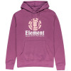 ELEMENT Vertical - Hoodie for Men - Berry Conserve