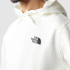 THE NORTH FACE Seasonal Graphic - Men's Hoodie - Gardenia White