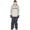 DC Snowstar - Ανδρικό Τεχνικό Hoodie - Wild Dove