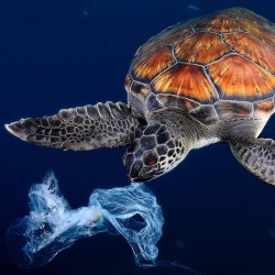 P.A.C. Ocean Upcycling 100% Recycled - Μαντήλι Λαιμού - Pepakatto