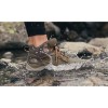 The North Face VECTIV™ FUTURELIGHT™ Exploris - Γυναικείο Δερμάτινο Μποτάκι πεζοπορίας - Bipartisan Brown/Coffee Brown