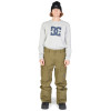 DC Code - Men's Shell Snowboard Pants - Ivy Green