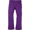 BURTON Covert 2.0 2L Insulated- Ανδρικό παντελόνι snowboard - Imperial Purple