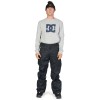 DC Banshee - Men's insulated Snowboard Pants - Black
