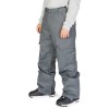 DC Banshee - Men's insulated Snowboard Pants - Dark Shadow