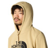 THE NORTH FACE Drew Peak - Men's Hoodie - Khaki Stone