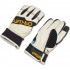 Oakley Factory Winter Glove 2.0 - Ανδρικά Γάντια Snowboard/Ski - Arctic White