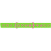 VonZipper Mach vfs Goggle + (Bonus Lens) - Ski/Snowboard Goggles - Lime Green/Green mirror