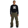 DC Code 15K- Men's Shell Snowboard Pants - Capers