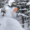 K2 Instrument Men's snowboard 4