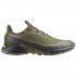 SALOMON Alphacross 5 Gore-Tex - Ανδρικά παπούτσια Trail Running  - Olive Night/Black/Deep Lichen Green