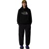 The North Face Drew Peak - Ανδρικό Φούτερ - TNF Black