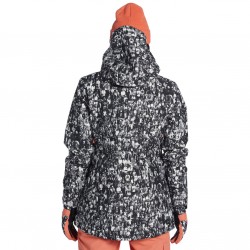 DC Cruiser 2 insulated 10K - Γυναικείο Snowboard Jacket - Chair One Blanc de Blanc