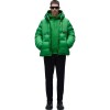 NAPAPIJRI A-Moesa - Ανδρικό Μπουφάν Puffer - Green Kelly