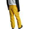 BURTON Men's Cargo 2L - Ανδρικό snowboard Pants - Regular Fit - Goldenrod