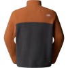 THE NORTH FACE Men's Yumiori 1/4 Zip Fleece - Ανδρικό φλίς - Asphalt Grey/Burnt Umber/Summit Gold