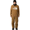 The North Face Men's Tekno Logo Hoodie DWR - Men's Hoodie - Utility Brown