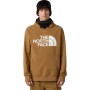 The North Face Men's Tekno Logo Hoodie DWR - Ανδρικό Φούτερ DWR - Utility Brown 