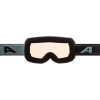 ALPINA Taos Q-Lite - Μάσκα Ski/Snowboard - Black Willow Green Matt/Green mirror