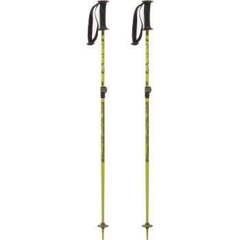 K2 K2 Sprout Ski Poles - Adjustable Junior ski pole - Green