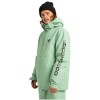 DC Basis insulated 10K- Ανδρικό Snow Jacket - Basil