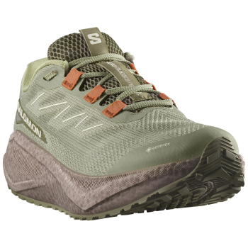 SALOMON Aero Blaze 3 GRVL Gore-tex - Ανδρικό Gravel Running -Tea/Iron/Burned Ochre