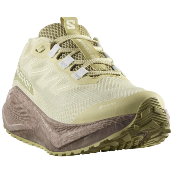 SALOMON Aero Blaze 3 GRVL Gore-tex - Γυναικείο Gravel Running - Green Haze/Iron