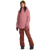 VOLCOM Swift Bib Overall - Women's Snow Pants - Henna