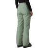 The North Face Descendit Insulated - Women's Ski/Snowboard Pant - Slate Moss