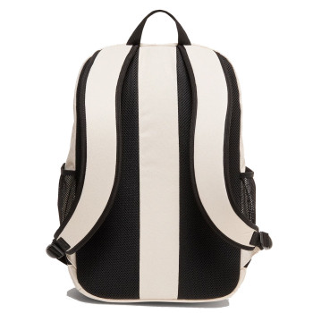 OAKLEY Enduro 25L 4.0 - Σακίδιο Πλάτης - Mist