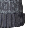 The North Face Retro Cabin Beanie - High Rise Grey/Smoked P