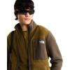 THE NORTH FACE Men's Yumiori Full-Zip Fleece Jacket - Ανδρική φλίς ζακέτα - Caraway Seed/New Taupe Green