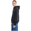 Element Timber Flow Hoodie  - Ανδρικό φούτερ με κουκούλα - Flint Black