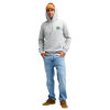 Quiksilver Duality Hoodie - Ανδρικό φούτερ με κουκούλα - Light Grey heather