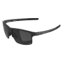 Alpina Eagle Q-lite - Γυαλιά ηλίου - Black Matt/Silver Mirror Lens