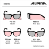 Alpina Kosmic - Γυαλιά ηλίου - Moon Grey Matt/Blue Mirror Lens