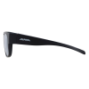 Alpina Overview II P - Γυαλιά ηλίου -Black Matt/Black Polarized Mirror Lens