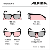 Alpina Overview II P - Γυαλιά ηλίου -Black Matt/Black Polarized Mirror Lens