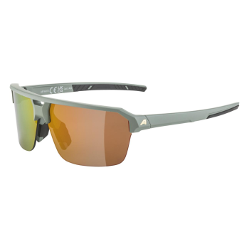 Alpina Swift HR - Γυαλιά ηλίου - Willow Green Matt/Gold Mirror Lens