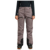 Roxy GORE‑TEX® Stretch Landform - Γυναικείο Gore-Tex® Παντελόνι Χιονιού - Shark