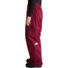 The North Face Freedom Insulated - Γυναικείο Ski/Snowboard Pants - Burgundy Crush