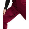 The North Face Freedom Insulated - Γυναικείο Ski/Snowboard Pants - Burgundy Crush