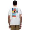 Napapijri Swhol Short-Sleeve T-Shirt - Ανδρικό T-Shirt - White Whisper