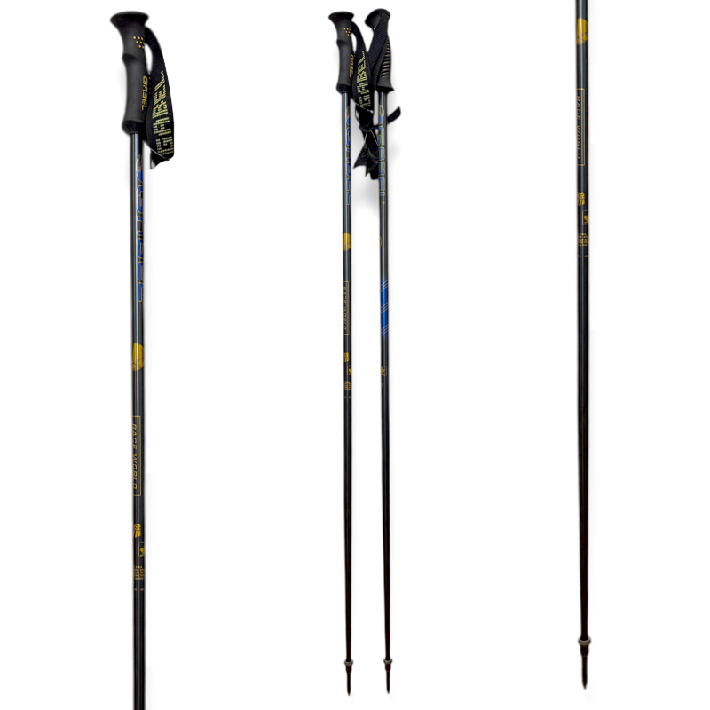 Gabel Race World SLD - Ski Poles - Blue