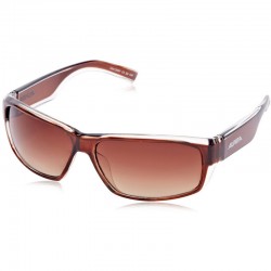 ALPINA A61 Brown Transparent ΓΥΑΛΙΑ ΗΛΙΟΥ