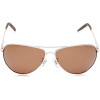 ALPINA A120 Polarize Light Gold
